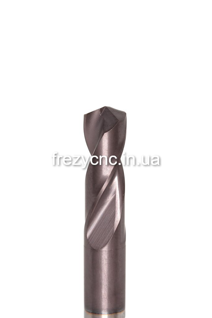 IMGL2534