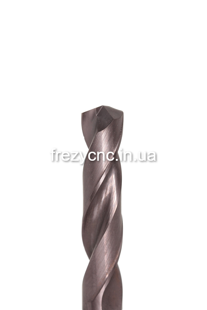 IMGL2659