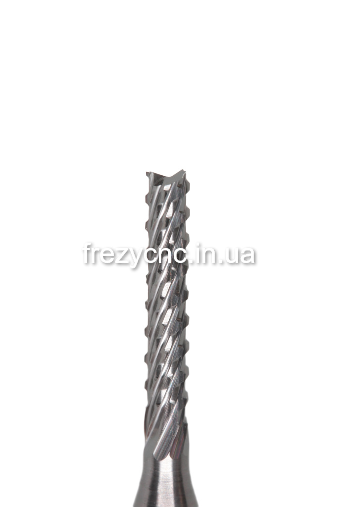 IMGL4570