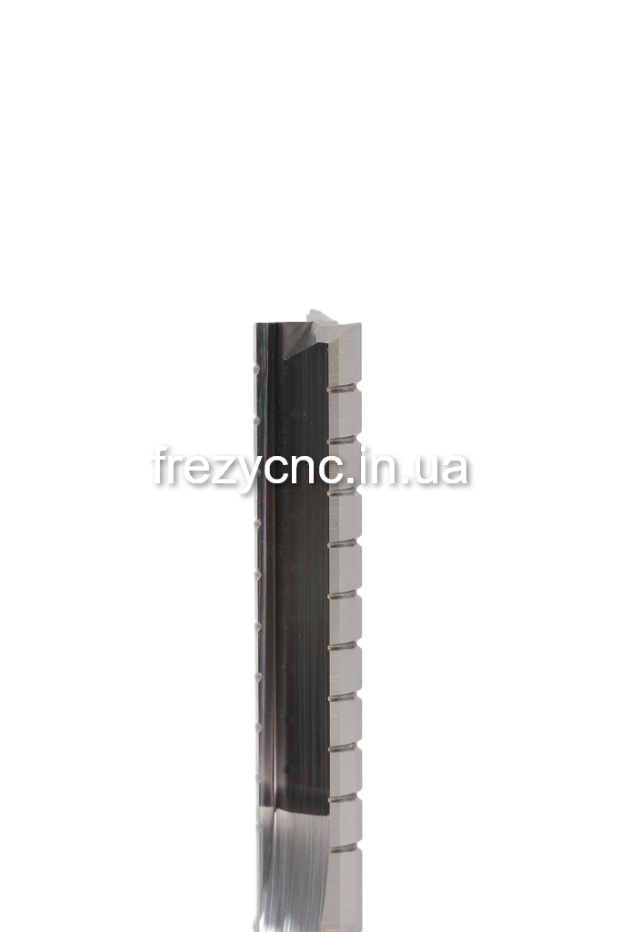 IMGL5038