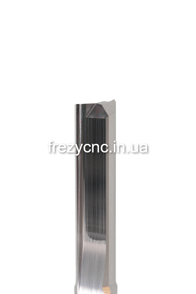 IMGL5518