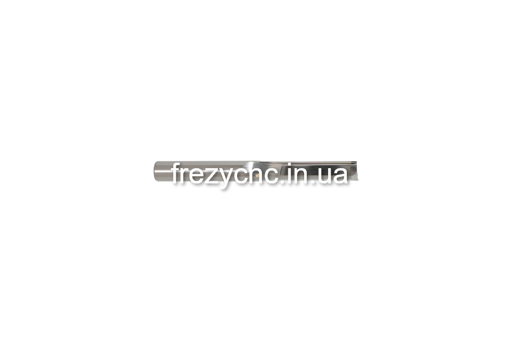 IMGL5519