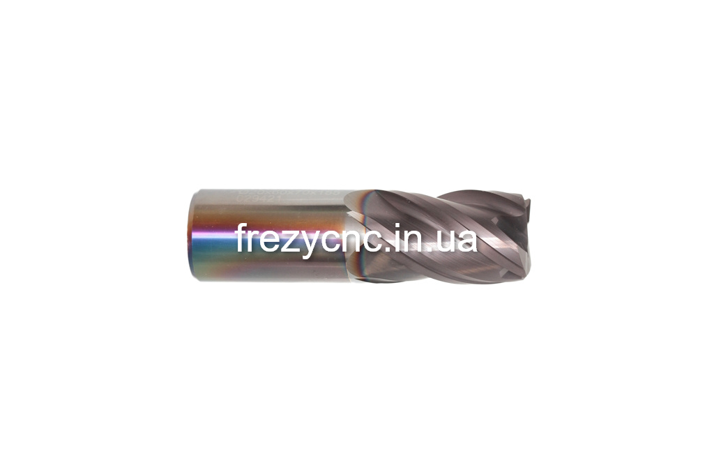 IMGL5597 —